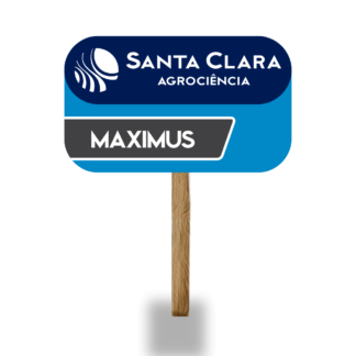 Placa Maximus