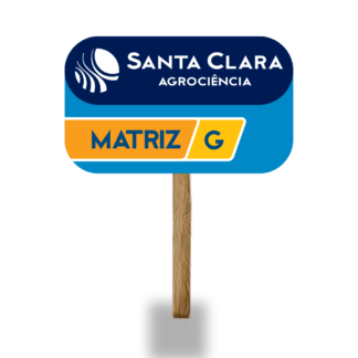 Placa Matriz G