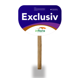 Placa Inflora Exclusiv