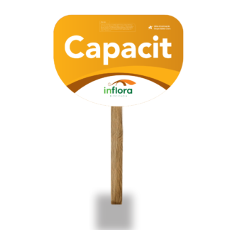 Placa Capacit